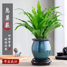 �B��ާ���Դ���ֲ���k���҃ȿ͏d�^�~�Gֲ�ļ�������B������մ�