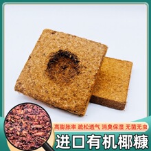 �ľ�з�����M���ЙCҬ��Ҭ�uС�w��������Ⱦɫ�����|��͑ƤҬ��