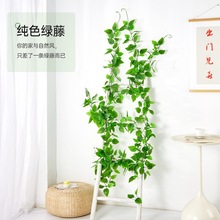 藤条绿萝葡萄叶吊顶装饰藤蔓塑料花藤绿叶包管道遮挡藤编仿真藤蔓