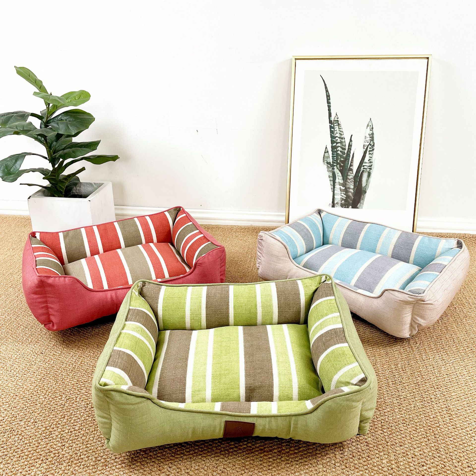 Собака приходит к четырем сезонам гоуксианский мато