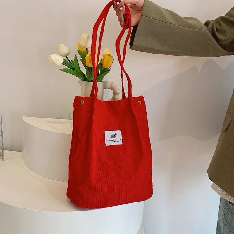 2025新款百搭简约时尚秋冬灯芯绒包包ins韩版原宿单肩慵懒风