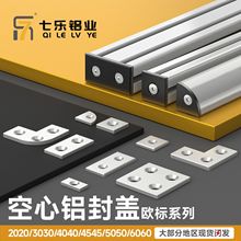 空心铝合金端盖封盖 20203030404060608080国欧标铝合金金属堵头