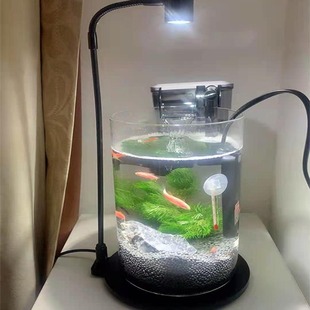 Round Acrylic Led Micro Landscape Lamp Moss Lamp Plant Lamp Aquatic Plant Lamp Amphibious Tank Succulent Fish Tank Lamp