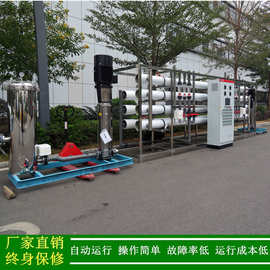 供应二级反渗透20T/H双级RO反渗透纯水制取设备江西万安RO纯水机