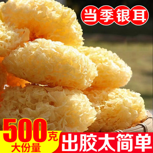 �����ذl؛�����y����؛�����ľ��Ŵ�����l�y�������ßo���