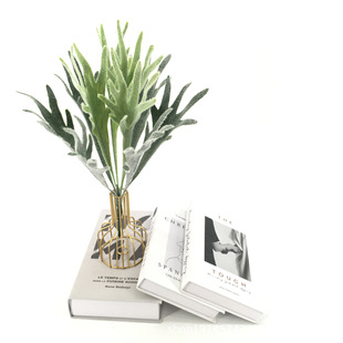 �S�����l����G�~ֲë¹���~ ¹�ǲݷ���ֲ���쾰ֲ�����Gֲ