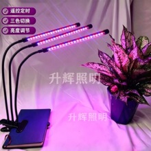 ledֲ�����������ڲ���Ƶ��ⶨʱȫ�������������ֲ��ֲ���