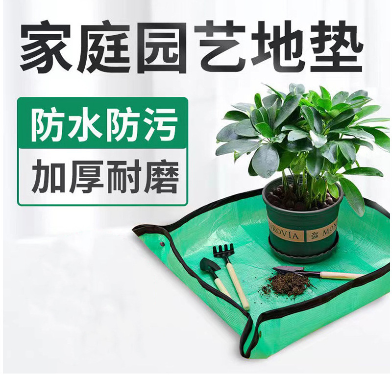 O1CN017euHby1TSXrSbMeeM_!!2761