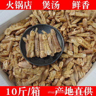 ��10��/�䡿СƤƤ�r�ɞ|���r�������r���ӻ�停����Ҝ����r��؛