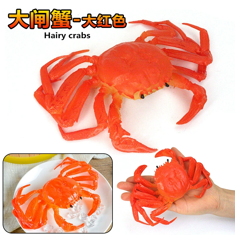 Игрушка, большие морские когнитивные украшения