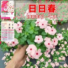 մNӻɫLNļ_ѷN̨҃Ԉ󴺻N