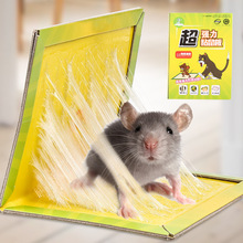 .捕鼠神器粘鼠板家用老鼠籠沾膠夾葯抓捉大老鼠貼強力粘鼠板驅
