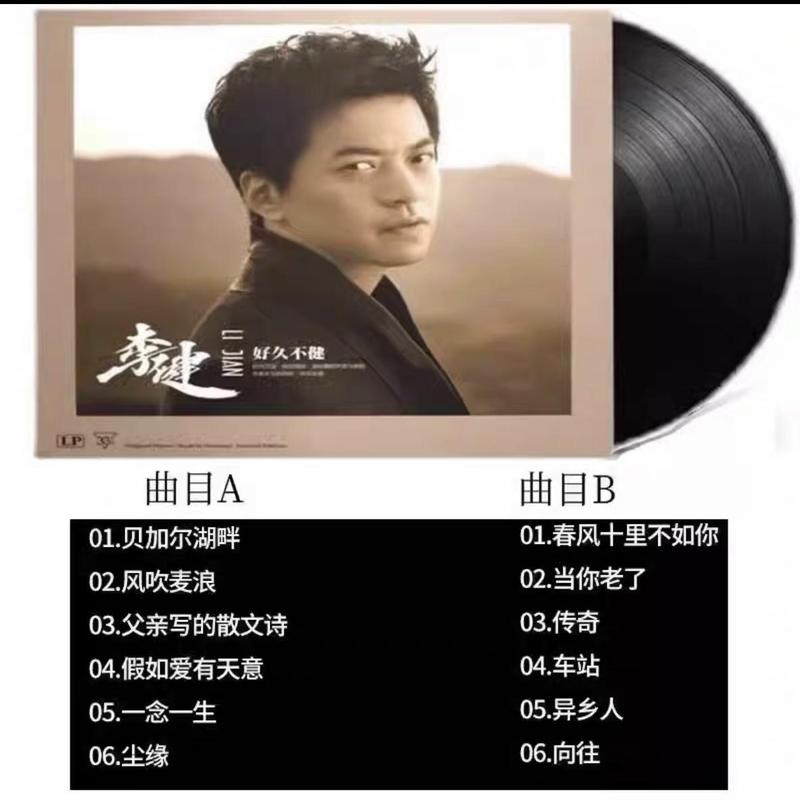 ビニールレコード蓄音機レコードビニールレコードプレーヤーディスク 12 インチ 33 rpm LP レコードレトロレコードプレーヤービニール|undefined