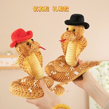 �羳�����L�����߹��б������R����żë�q���ץ�C��ż�Ɍ����M