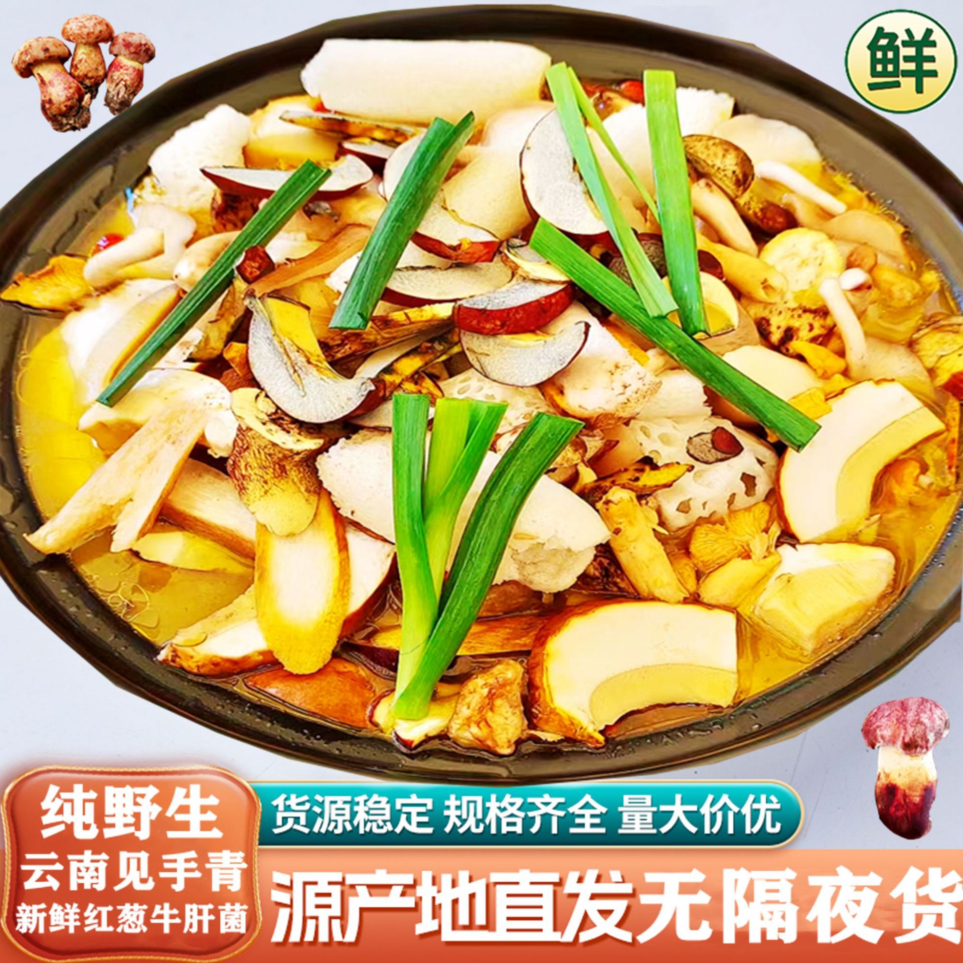 莫林2025新云南新鲜见手青野生菌红葱牛肝菌干货食用菌酒店福建食