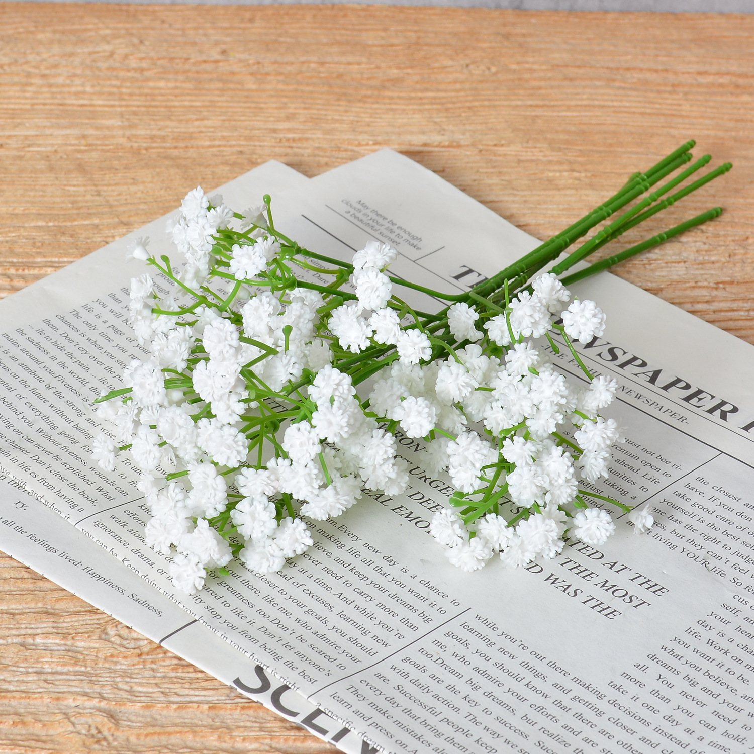 Estrella Blanca (Ramas cortas 28CM)
