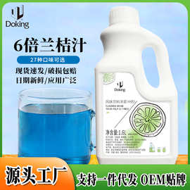 盾皇6倍兰桔汁饮料浓浆薄荷柠檬浓缩汁奶茶店商用批发果汁原料