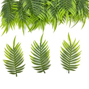 ֲˮ ƽݴ 滨ˮݰbСl