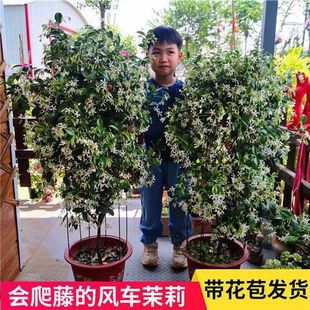 �L܇��������ֲ��ͥԺ����jʯ���y�z�����ļ��_�����Ի��ܺ��B