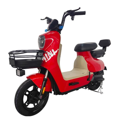 Auto Parts and Accessories: Dingzhi Bicycle Custom