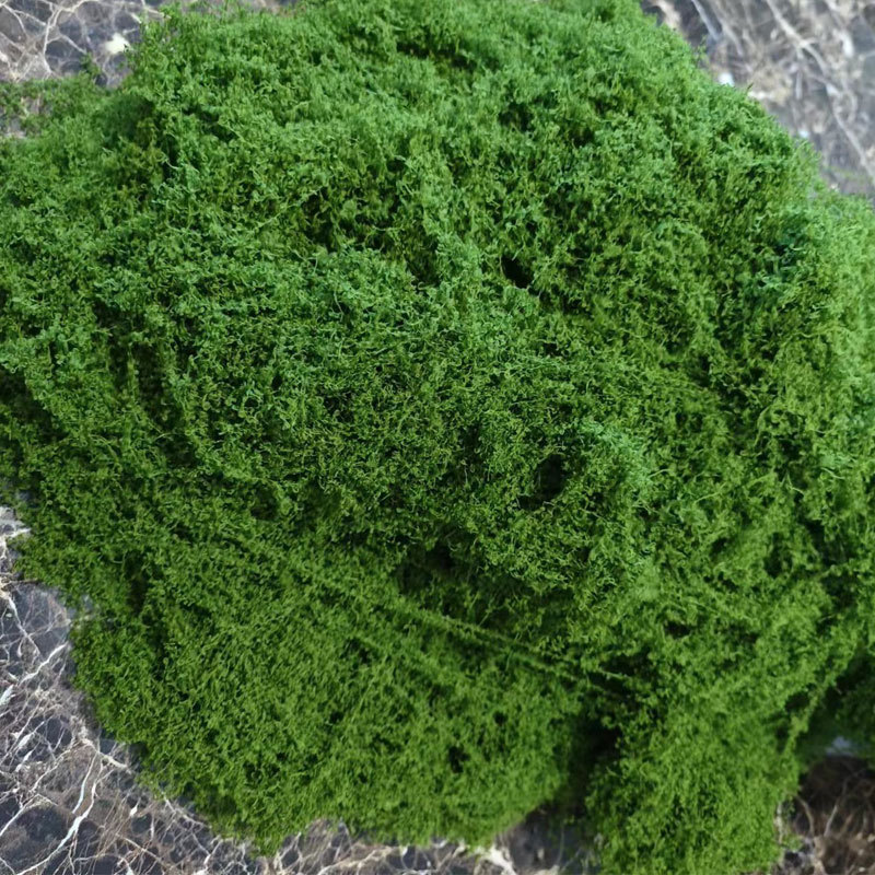 4ae9164bd31de9a7ba7859c9e3b8a0