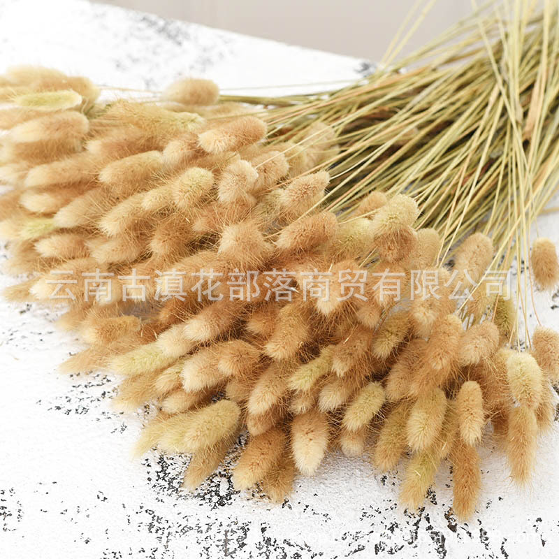 60 오리지널 컬러 토끼 꼬리 풀