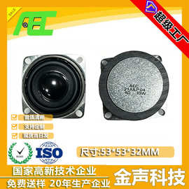 AEC厂家 53*53MM4欧10瓦方形外磁支持加线蓝牙音响语音扬声器