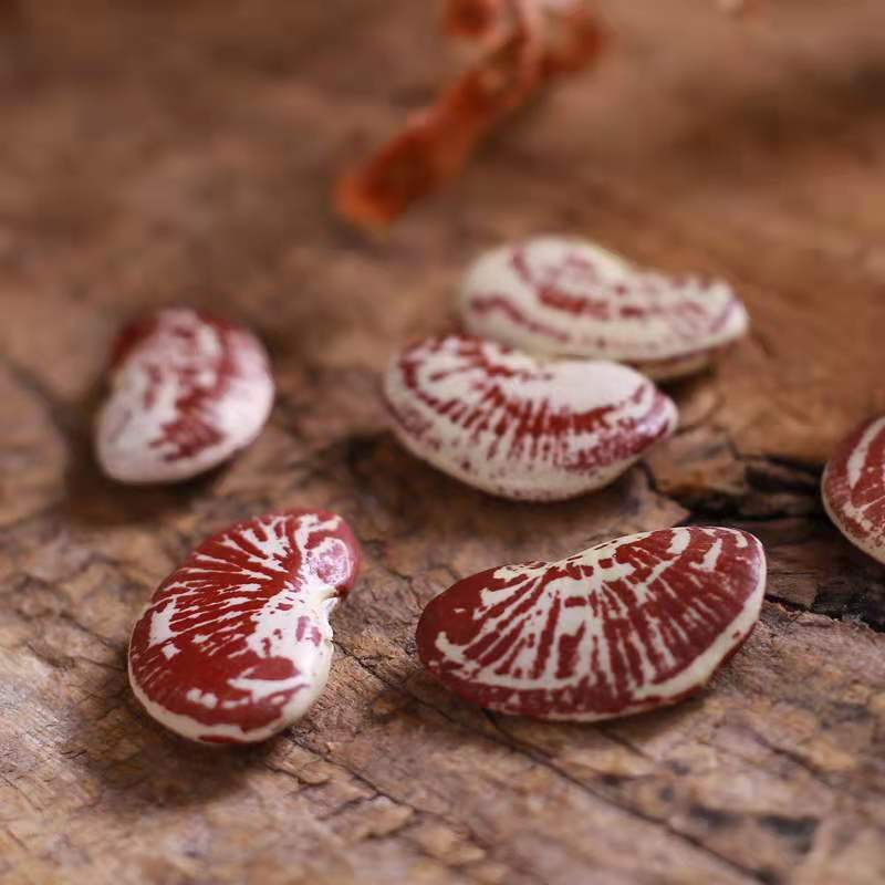 6a1a03c8715fc72c638218fc8446be