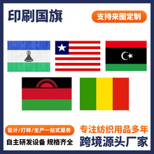跨境热款活动组织手摇旗帜批发多尺寸多规格选择不褪色手摇国旗