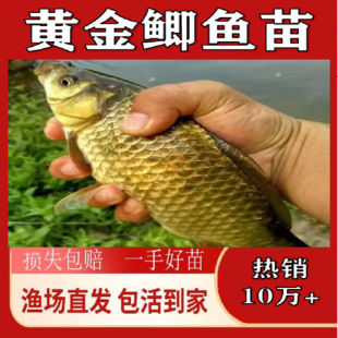 ��Ʒ�N�S���a�п���̖�a�~�繤���a����a��ˮ�Bֳ���w���~���~��