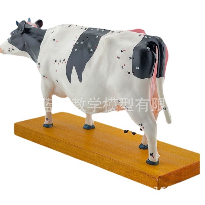 ţ�����ģ�ͼ�ţ����ģ�� �������ģ��ţ����ģ�� ��ҽ��ѧģ��