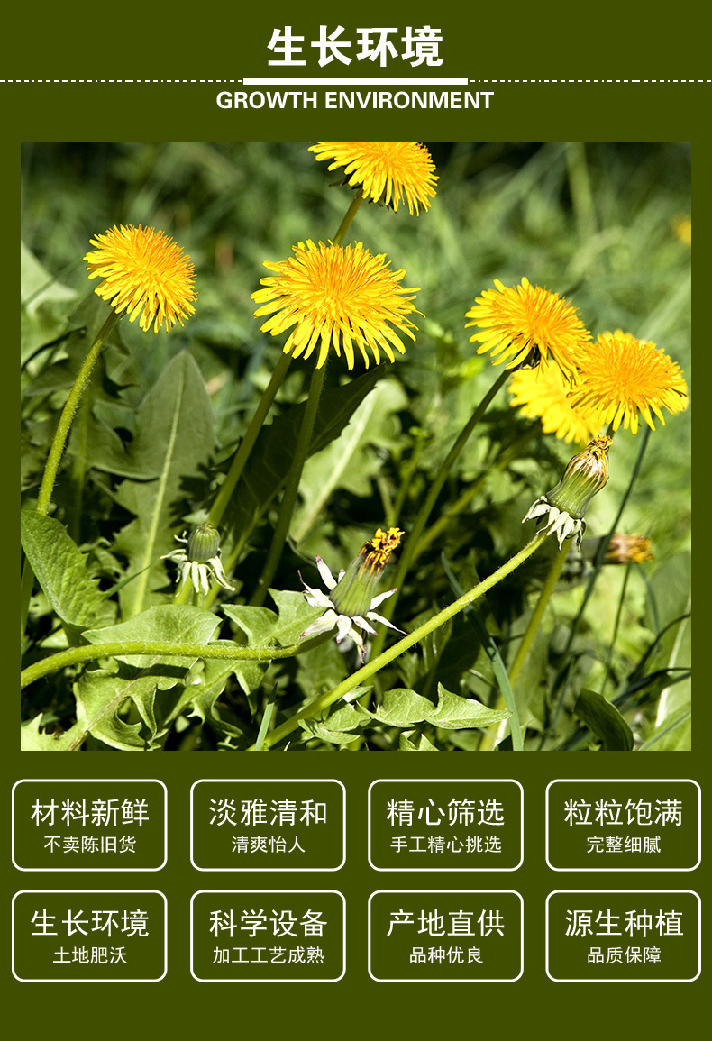 Dandelion Herb (Taraxacum officinale) — Sulfur-Free Dried Dandelion Tea, Food-Herb Wellness Infusion key features