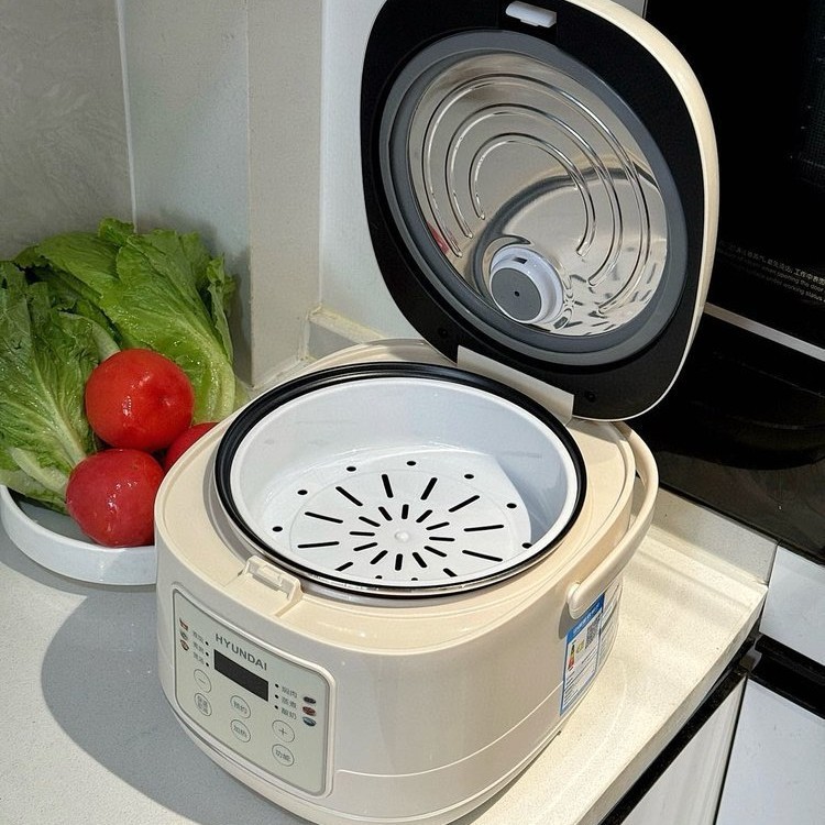 HYUNDAI ヒュンダイ スマート炊飯器 家庭用 小型 大容量 2-3人用 正規品 多機能炊飯器 スマート|undefined