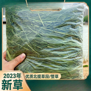 ��Ħ���ɲݕ�ɺ���~����������؈������m�i��������üZ�Ї�