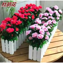 ���滨���b�͏d�����ړ��b�Ʒ�řڔ[�O���Ԕ[�����տ��ٺϼٻ�