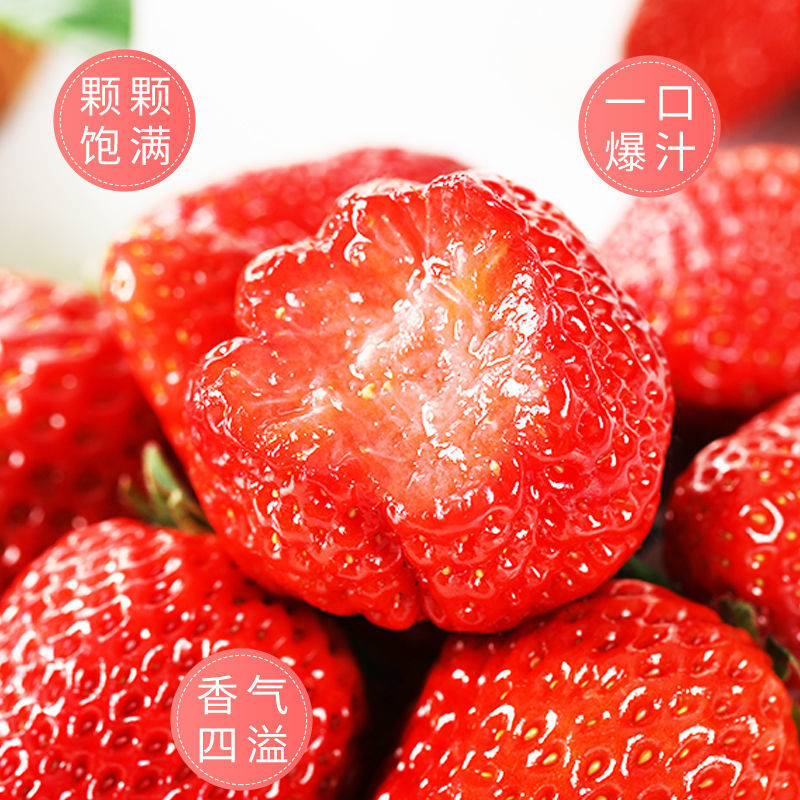 草莓新鲜牛奶现摘甜草莓露天种植冬草莓新鲜网红水果跨境一件代发|ru