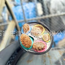 �͟��o�u��ȼ��|WDZB-YJY23�����˷���̖����늾�WDZNRYJS