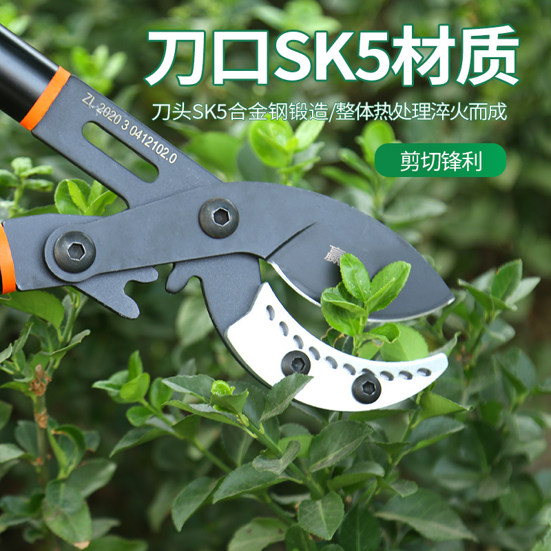 Winda nuevo estilo tijeras de rama gruesa fuertes tijeras de jardinería jardín tijeras de árboles frutales retráctiles tijeras de recolección de frutas herramientas de jardín