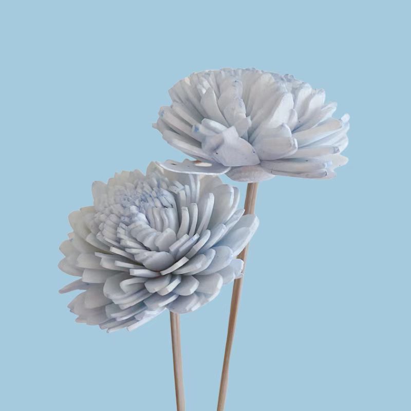 微信图片_20221231141526