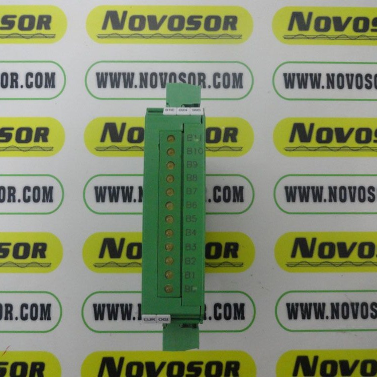 EUROGI继电器61E024995   EMRS8S/24C先咨询再订期货