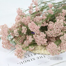 �������׻��ɻ�ԭɫ����Ȼ�滨�ҾӲ廨�b�������ˇܛ�b�[�O