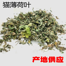 白花猫薄荷叶片批发  猫薄荷叶粉可装袋 猫薄荷批发1kg