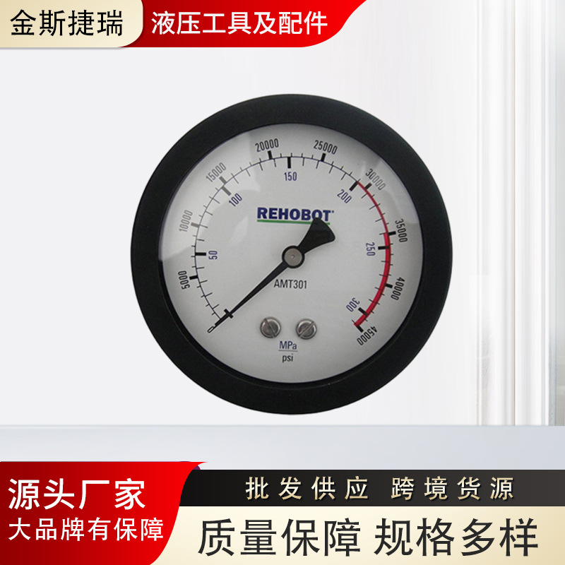 TX104压力表NIKE手动泵压力表原装瑞典REHOBOT手动泵压力表