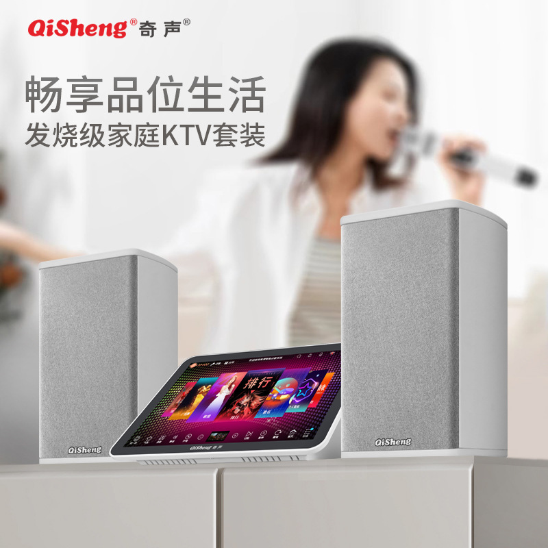 Qisheng Hq6 Home Ktv Audio Set Full Set of Home Combination Theater Karaoke Machine Karaoke All-In-One Singing Machine