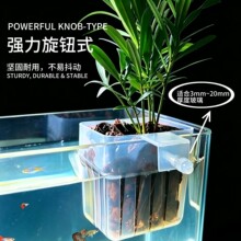 ˮ�ඨֲ�@�~��ˮ�ݱ����ʽ�Nֲ���¿�͸��ˮ�������~��ֲ���쾰