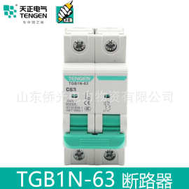 天正空气开关小型断路器TGB1N-63 1P20A2P16A32A3P63A空开