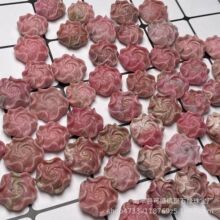 天然蔷薇石牡丹花 蔷薇辉石牡丹 玫瑰石牡丹 粉色水晶雕件配件