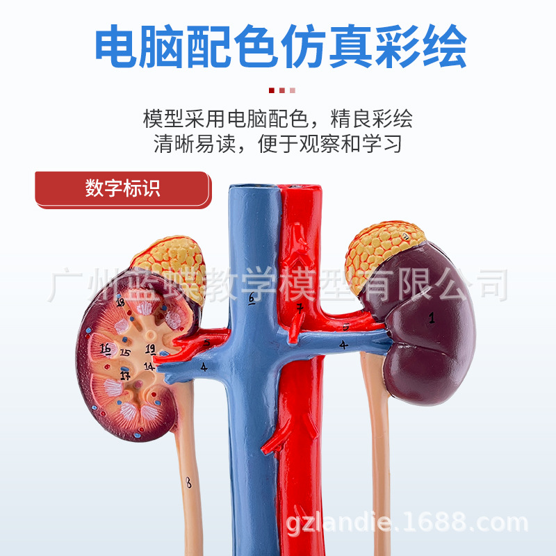 ������������ϵͳģ������ܰ������ ҽѧ��ֳϵͳ�������ģ��