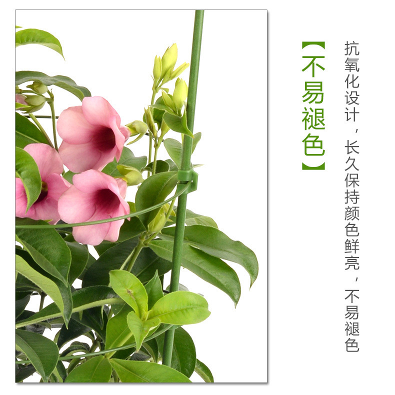 Gardening supplies climbing flower trellis flower support plant climbing frame specialized iron wire honeysuckle rose round ring-shaped pillar flower rack