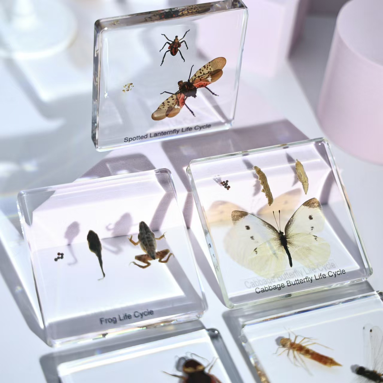 微信图片_20240804220909